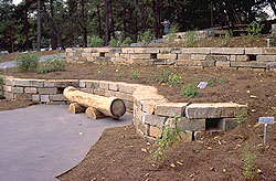 Most of the construction of the Ethnobotanical Garden made use of recycled construction materials.